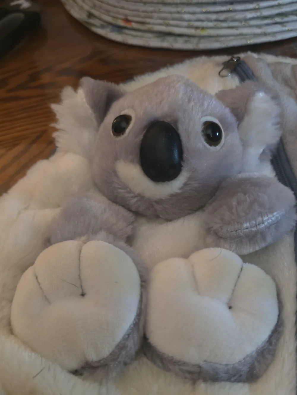 Source Unknown koala bear